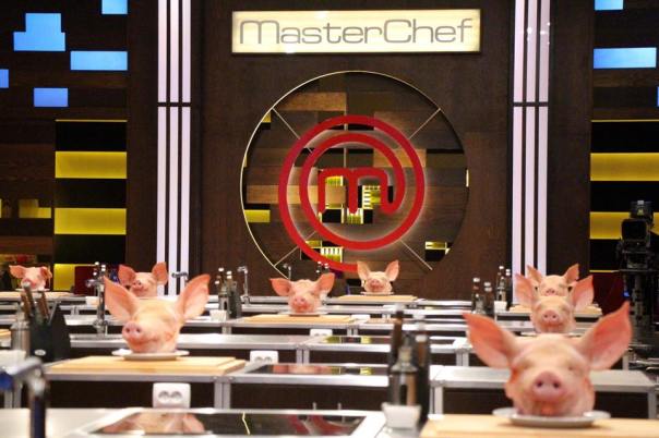 10304333_889491431074194_627563588406586996_n